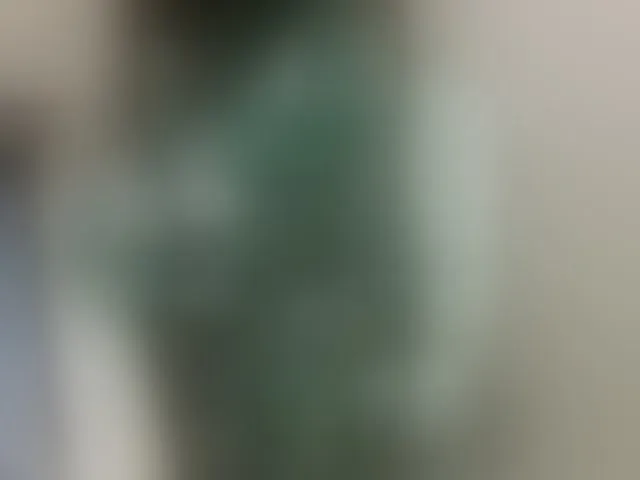 Live sex webcam photo for Missaudreys #294000924