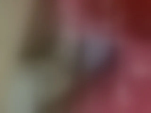 Live sex webcam photo for Missaudreys #294146738