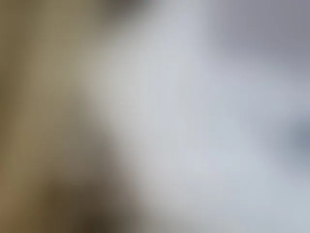 Live sex webcam photo for Missaudreys #294221504