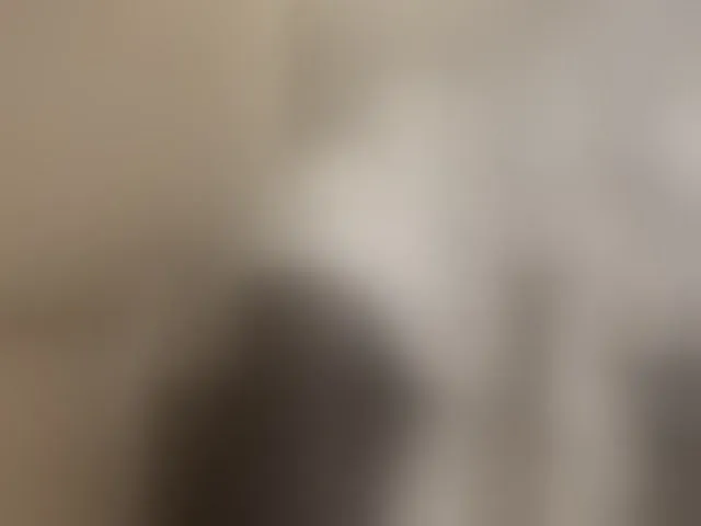 Live sex webcam photo for Misscreamerr #293236444