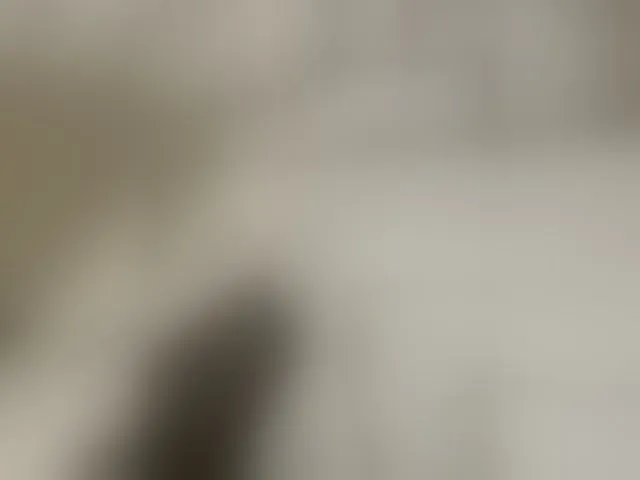 Live sex webcam photo for Misscreamerr #293262385