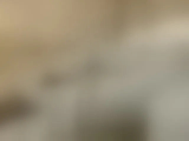 Live sex webcam photo for Misscreamerr #293360458
