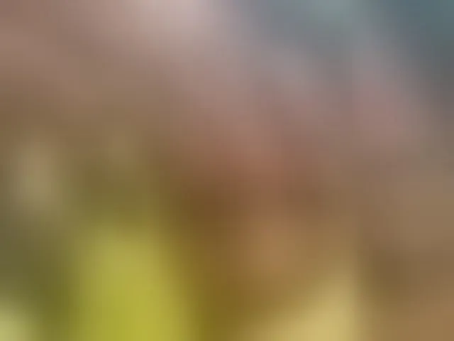 Live sex webcam photo for Misscreamerr #293514971