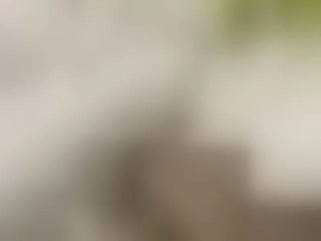 Live sex webcam photo for Misscreamerr #293518720