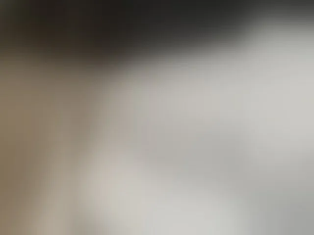 Live sex webcam photo for Misscreamerr #293531080