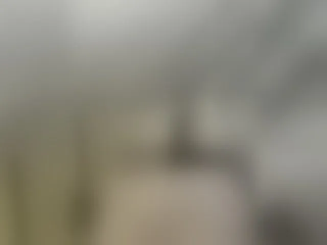 Live sex webcam photo for Misscreamerr #293552094
