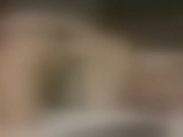 Live sex webcam photo for MisshaNight #293622593