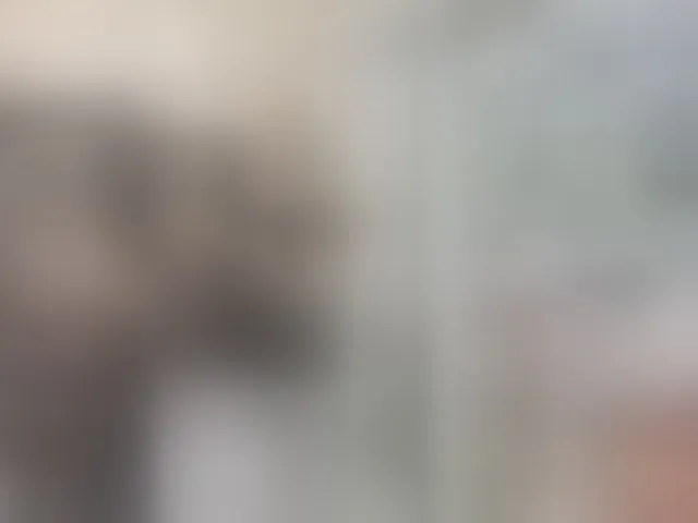 Live sex webcam photo for Misslyolika #293800394