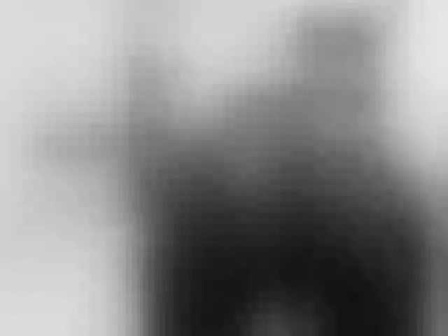 Live sex webcam photo for MisstressSabi #292150705