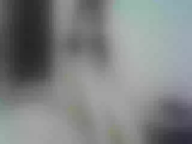 Live sex webcam photo for Mitsu-chan #291016601