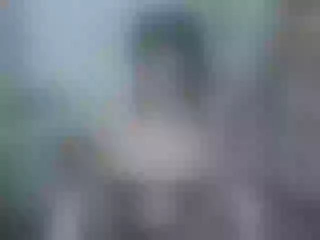Live sex webcam photo for Mitsu-chan #292006212