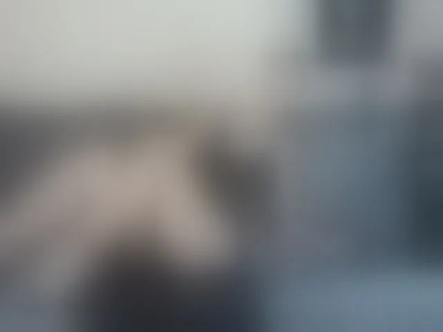 Live sex webcam photo for MiyaMei #292785491
