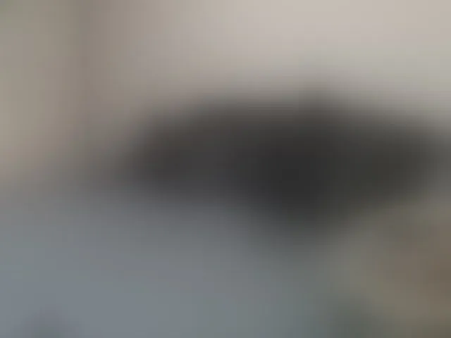 Live sex webcam photo for MiyaMei #293423121
