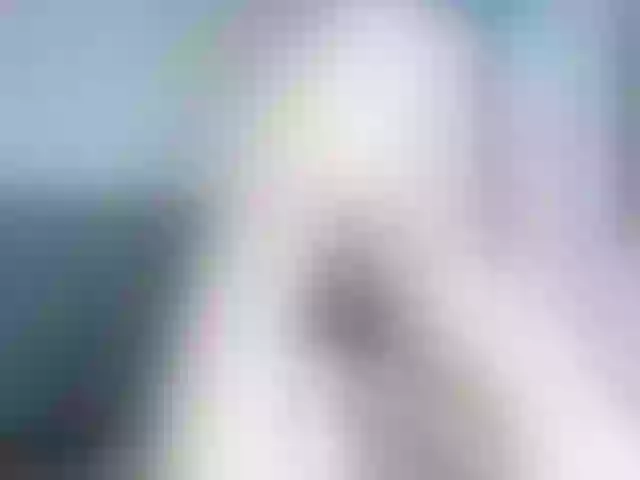 Live sex webcam photo for Miyah #276615085