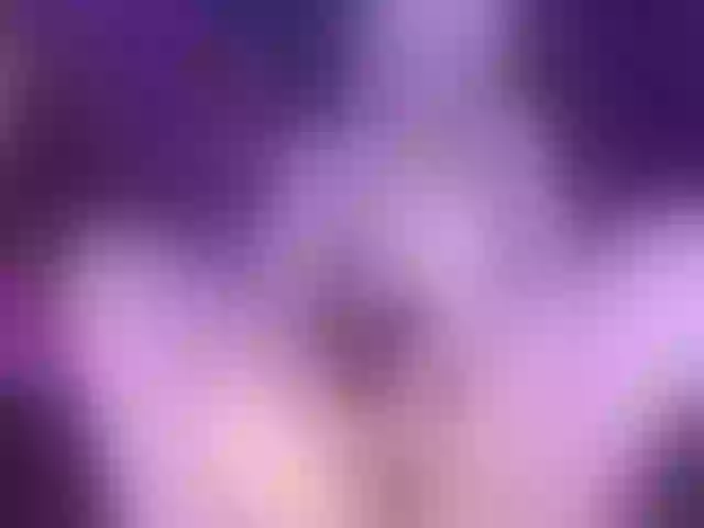Live sex webcam photo for MizukiNoYoru #291155014