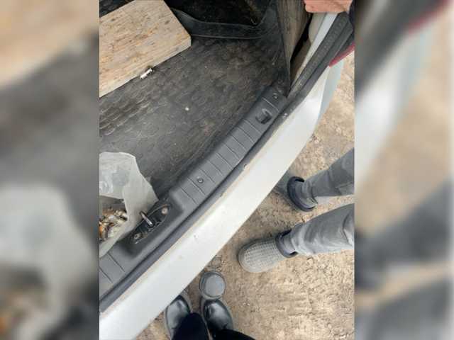 Live sex webcam photo for Mk1903 #277742876