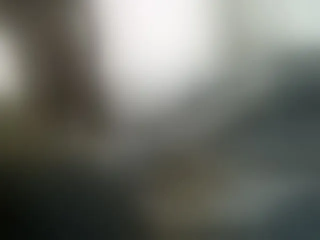 Live sex webcam photo for Mmushroom #293542798