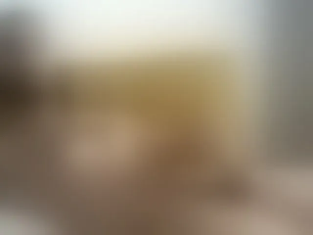 Live sex webcam photo for Mmushroom #293934529