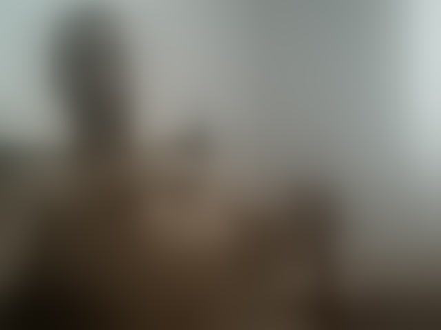 Live sex webcam photo for Mmushroom #294110535