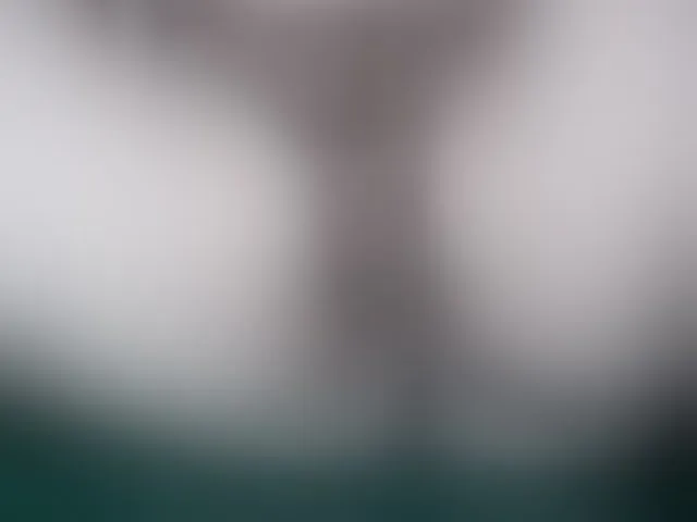 Live sex webcam photo for MoanFormebb #293143631