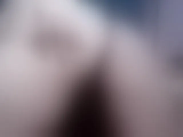 Live sex webcam photo for MoanFormebb #293988624