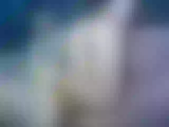 Live sex webcam photo for Model555 #277963867
