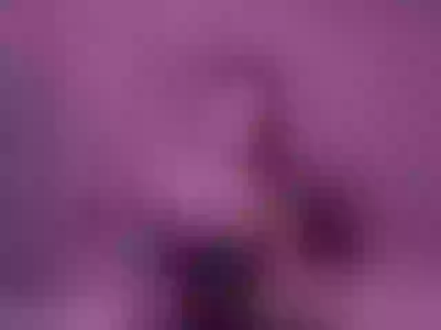 Live sex webcam photo for Modelfox #291381823