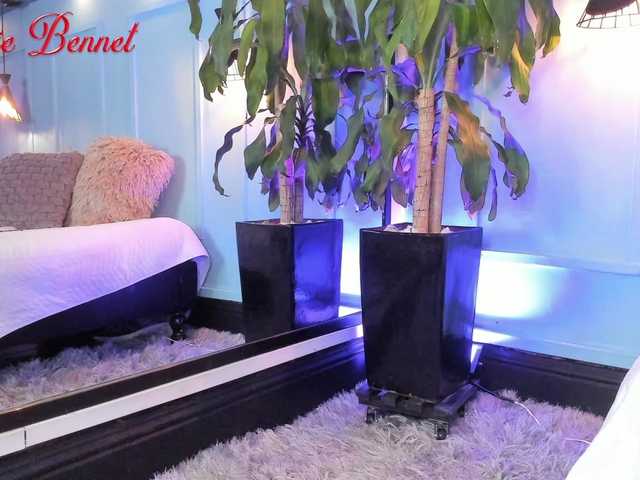 Live sex webcam photo for MollieBennet #277929931