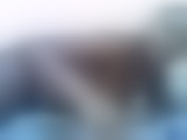 Live sex webcam photo for Molly-22 #294299710