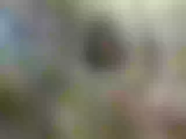 Live sex webcam photo for Molly-and-Ewa #291197890