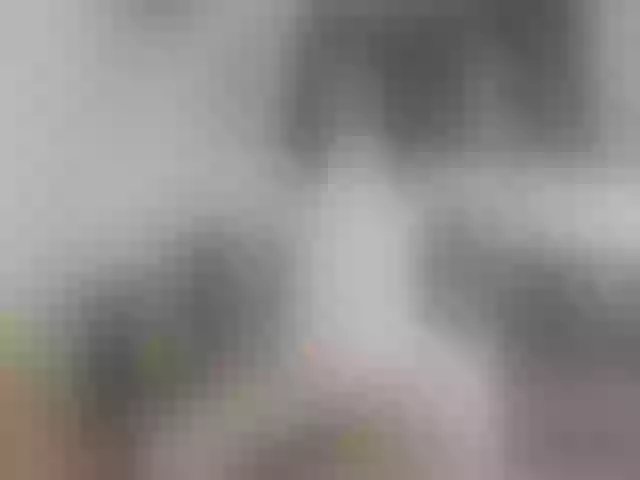 Live sex webcam photo for Molly-sex #273740090