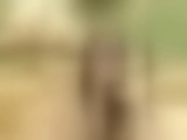 Live sex webcam photo for Molly-sex #293954417