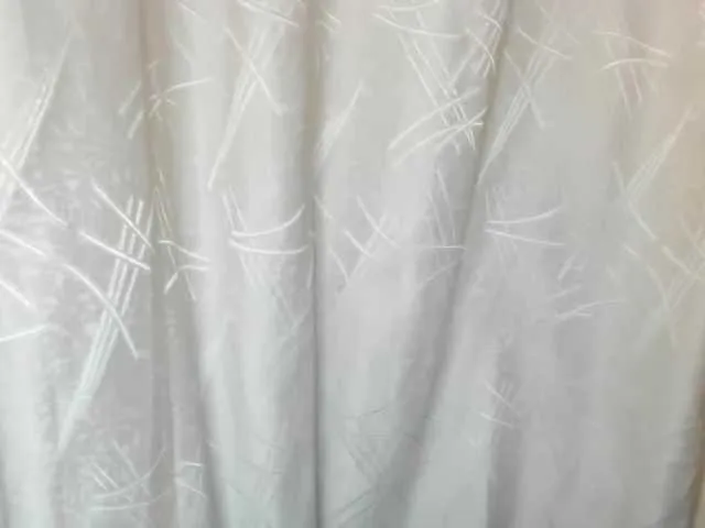 Live sex webcam photo for MollyRick #272078751