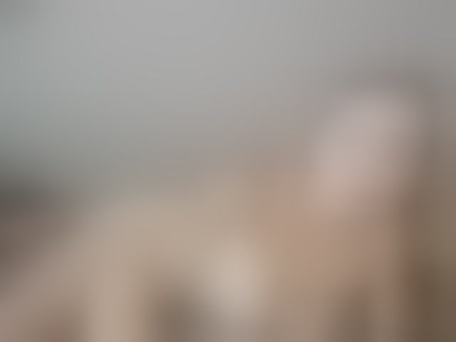 Live sex webcam photo for MonicaRosy #294073924