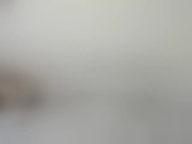 Live sex webcam photo for MonicaRosy #294170758