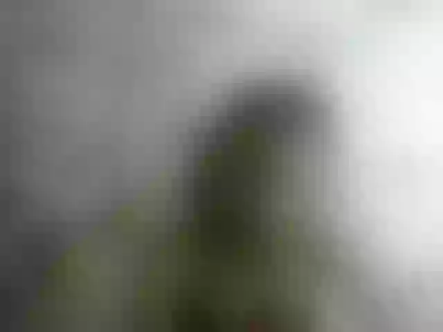 Live sex webcam photo for Monicaxa #292235039