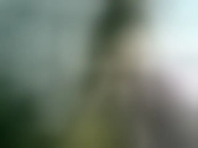 Live sex webcam photo for Monicaxa #292317708