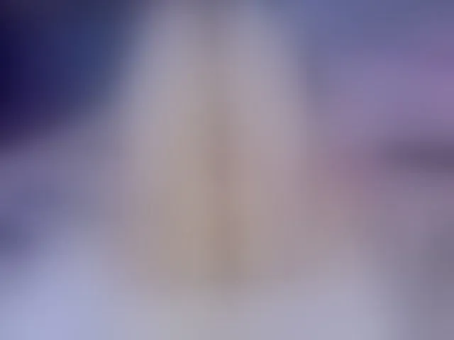 Live sex webcam photo for Monika-22 #293617512