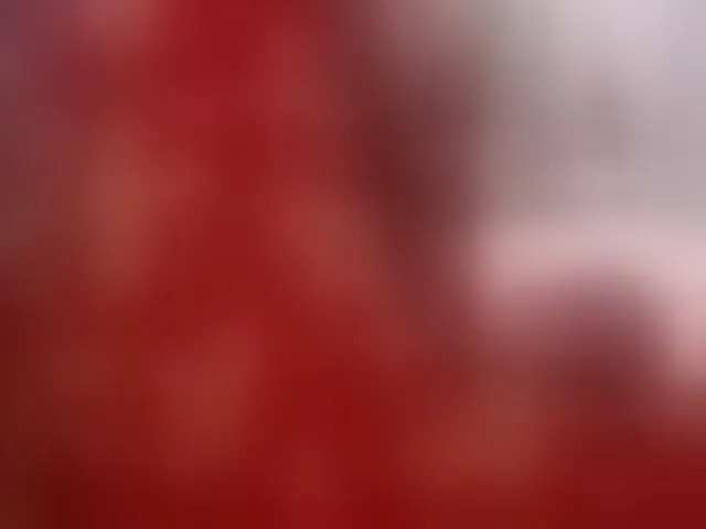 Live sex webcam photo for Monika-X #292557750