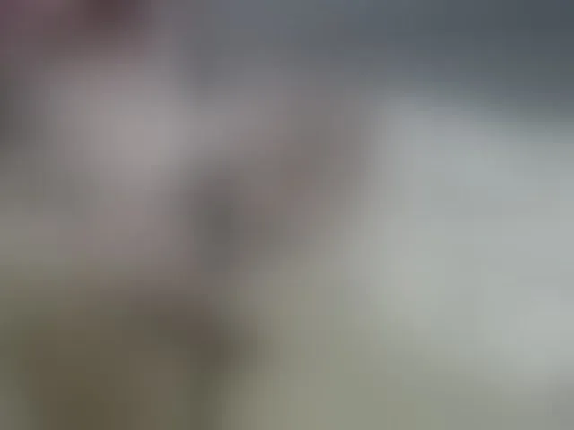 Live sex webcam photo for Monika-X #293016371