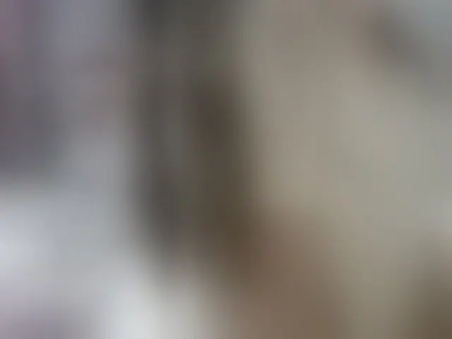 Live sex webcam photo for Monika-X #293263202