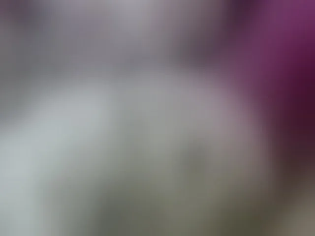 Live sex webcam photo for Monika-X #293286452