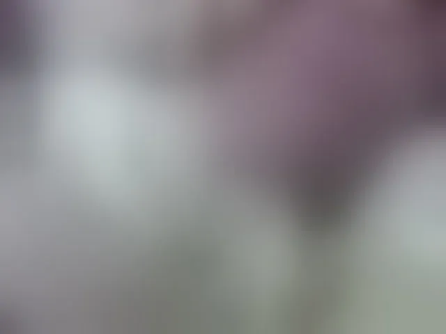 Live sex webcam photo for Monika-X #293395988