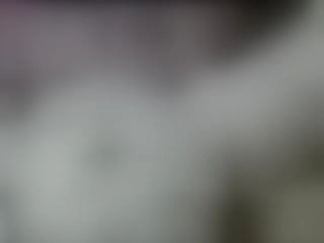 Live sex webcam photo for Monika-X #293725311