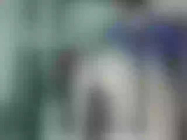 Live sex webcam photo for MonikaYyy #275563120