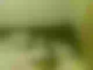 Live sex webcam photo for MoonXLight #194453586