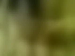Live sex webcam photo for MoonXLight #194920907