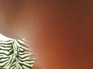 Live sex webcam photo for MoonXLight #200419904