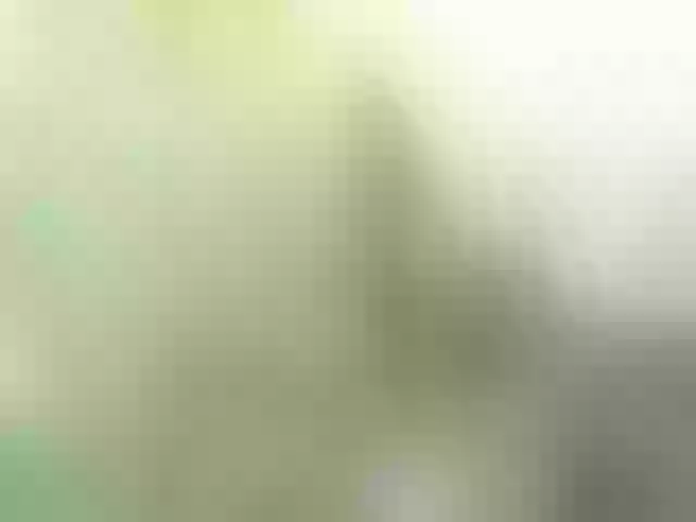 Live sex webcam photo for Mordasov #291447197