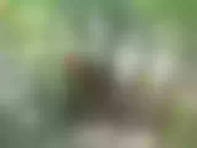 Live sex webcam photo for Mordasov #291663126
